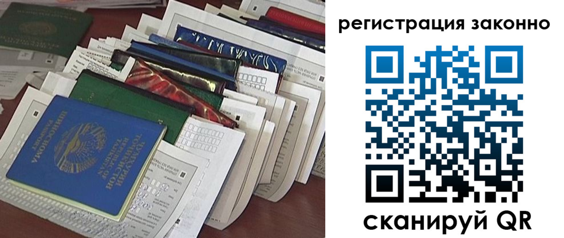 прописка 2025 в Камешково